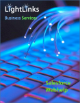 Light_Links_Business Sales Blue_Green_Light_Hue